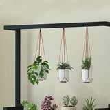 3 Tier Black Plant Stand With Hanging Basket Indoor Display Plant Rack Metal Shelves for Flower Pot Home Application Decor