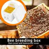 Beehive Beekeeping King Box Foam Home Bee Hive Pollination Boxes Harvest Bee Hive Beekeeper Mating Supplies