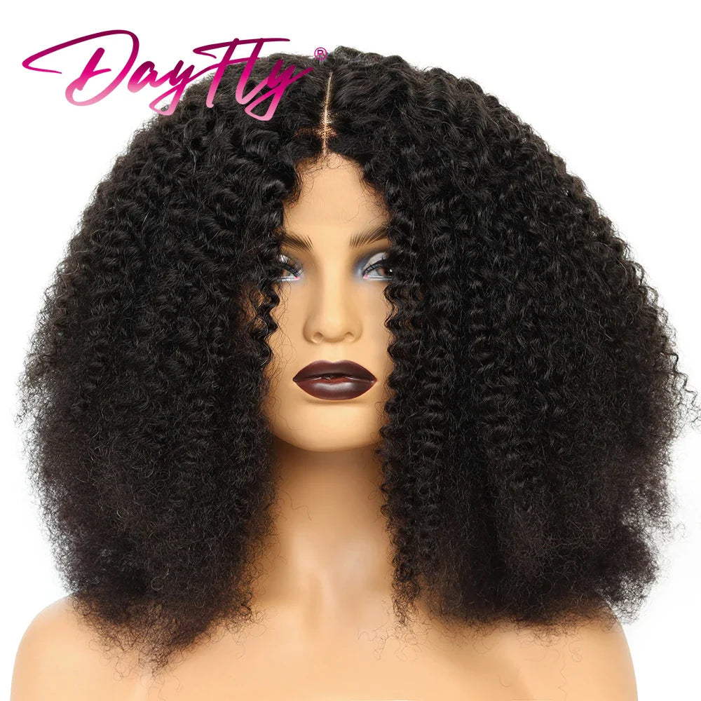 Afro Kinky Curly Wig Human Hair Mongolian Curly Human Hair Wigs 4x4 Swiss Lace Closure Wig For Women peruque cheveux naturels