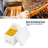 Beehive Beekeeping King Box Foam Home Bee Hive Pollination Boxes Harvest Bee Hive Beekeeper Mating Supplies