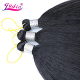 Lydia Kinky Straight Bundles Synthetic Hair Extension Freetress Crochet 3PCS Kanekalon Bulk Jumbo Braiding Afro 10-41Inch Black