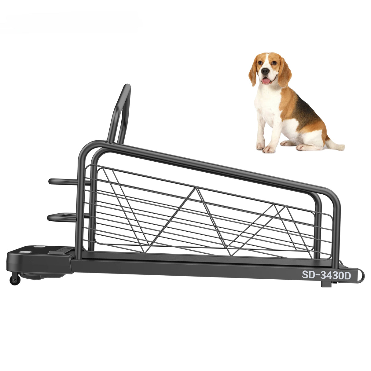 Hot Sale Dog Sport Equipment for Pet Exercise and Losing Weight Dog Training Treadmill for Medium and Large Dog