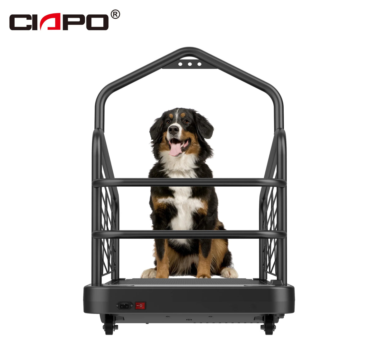 Hot Sale Dog Sport Equipment for Pet Exercise and Losing Weight Dog Training Treadmill for Medium and Large Dog