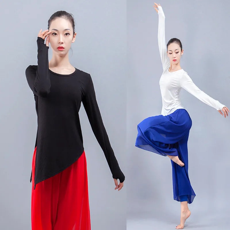 Hot Sell Classical Dance Costumes Set Women 2 Piece Modern Dance Clothes Chinese Dance Practice Suit Loose Blouse Chiffon Pants