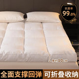 Hotel special mattress thickened home mat single bed double mattress dormitory students rent special mattress soft cushion