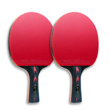 Huieson 2pc Ping Pong Rackets Set 5/6 Star Offensive Table Tennis Racket  with Fine Control