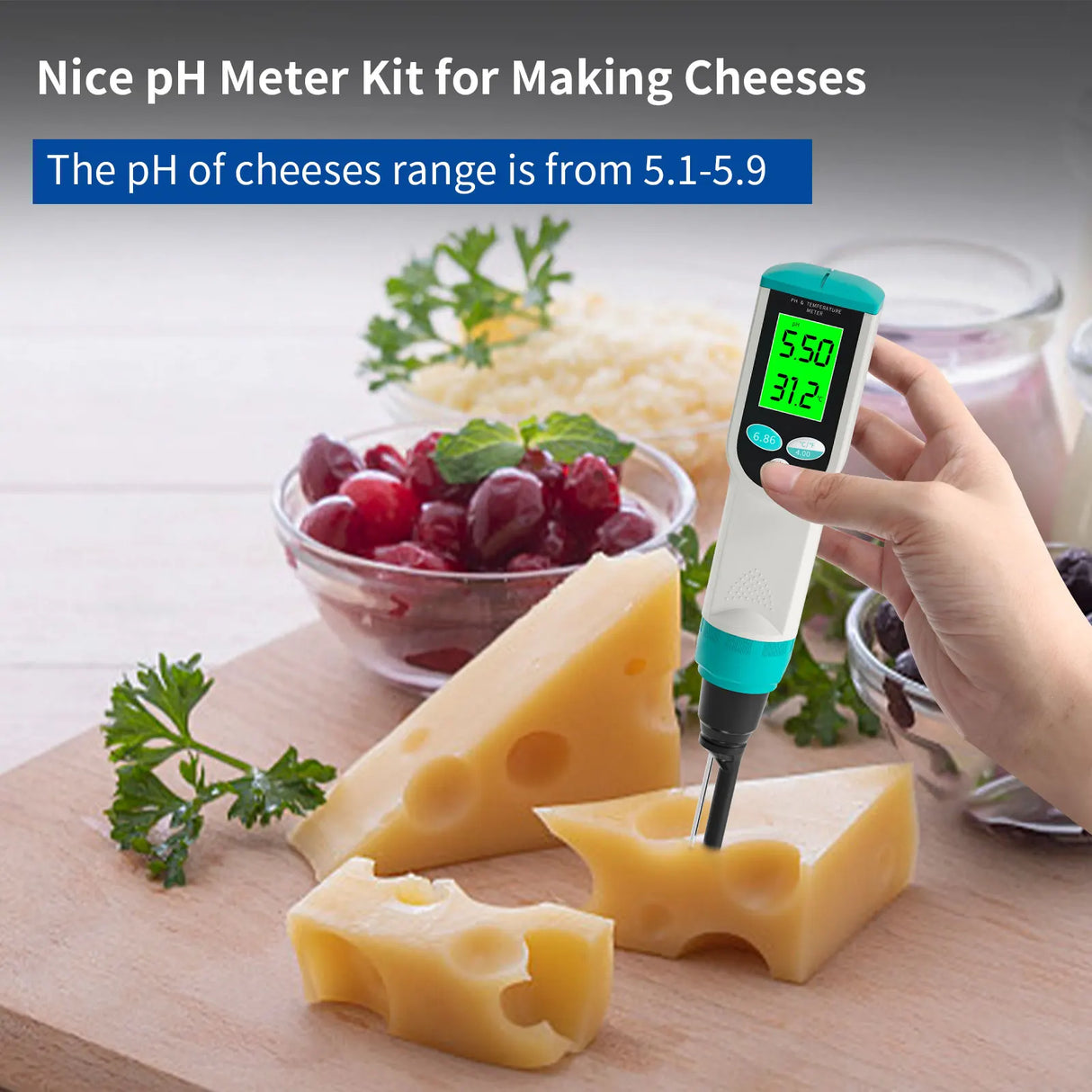 Professional Food PH Meter 0.00~14.00pH Temp pH Tester High Accuracy Sensor Acidity Analyzer for Meat Canning Cheese Dough Water