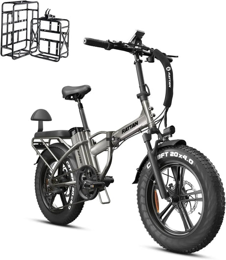 Electric Bike for Adults,750W 48V 13AH Removable Battery Foldable Electric Bikes, 20" x 4.0 Fat Tire 2 Seater Electric Bicycles