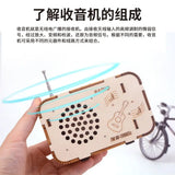 DIY Radio Model Science and Technology Invention Hand-made Self-made Assembly Materials Science handmade toys physics toy