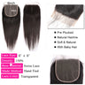 Straight 4x4 5x5 6x6 Lace Closure Human Hair Transparent  HD 13x4 13x6 Lace Frontal Human Hair Ear to Ear Frontal Extensions