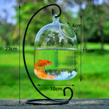Mini Fish Tank Aquarium Accessories Goldfish Glass Fishbowl Fishing Hydroponics Terrarium Plant Flower Pot Pet Jellyfish Carp