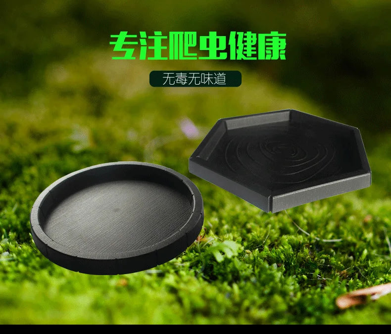 Reptile Bowls Terrarium Feeding Worm Dish Reptile Mealworm Feeder Dish Plastic Bowl for Frog Snake Spiders Turtles