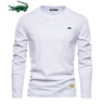 100% Cotton Long Sleeve T Shirt For Men Embroidery Casual Mens T-shirts High Quality Male Tops Classic Clothes Men's T-shirts