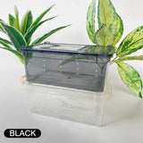 19cmx12.5cmx7.5cm Terrarium For Reptiles Spider Transparent Plastic Feeding Box Insect Food Feeding Container terrarium bowls