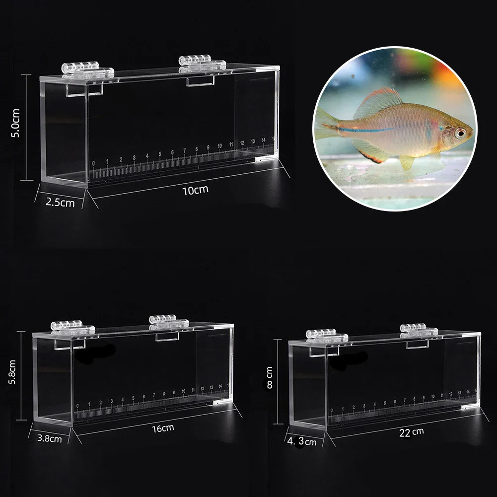 Fish Viewing Box Acrylic Material Isolation Box Betta Fish Aquarium Breeder Fish Tank Hatching Incubator Fish House Home Clear