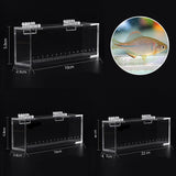Fish Viewing Box Acrylic Material Isolation Box Betta Fish Aquarium Breeder Fish Tank Hatching Incubator Fish House Home Clear