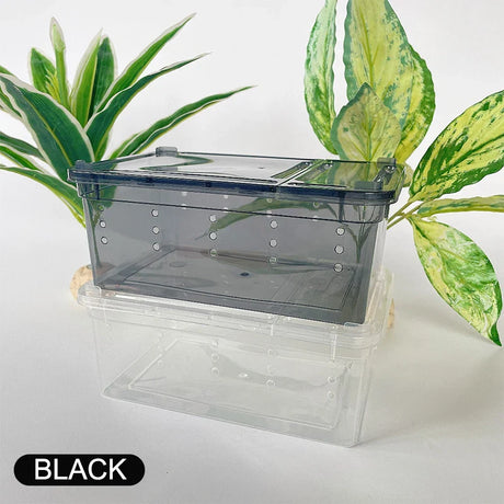 1pc Terrarium for Reptiles Spider Transparent Plastic Feeding Box Insect Lizard Beetle Transport Breeding Food Rearing Container