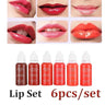 6pcs Lip Eyebrow Eye Liner Pigment Set Semi-Permanent Makeup Tattoo Pigment Ink Plant Extract Makeup Tattoo Ink for Tattoo 15ml