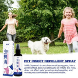 Fleas And Tick Dog Spray 100ml Dog Fleas And Tick Treatments Mist Fleas And Tick Control Spray Drive Away Fleas Lice Ticks Ant