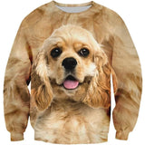 3D Printed Shetland Sheepdog Pomeranian Hoodie Men Long Sleeved Sweatshirt Spring Autumn Round Neck Pets Dog Graphic Pullovers