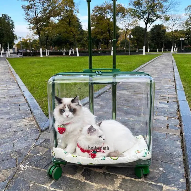 Lightweight Transparent Pet Trolley Case, Beauty Case, Professional Cat Stroller with Wheels, Expandable Pets Accessories