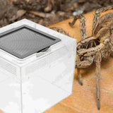 Crab Cricket Spider Bowl Container Habitat Terrarium Tank Snake Breeding Feeding Enclosure House Reptile Tarantula Box Cage