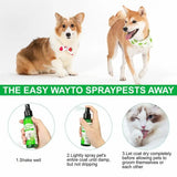 100ml Natural Pet Care Pet Skin Spray Fleas Tick And Mosquitoe Spray For Dog Cat And Home Fleas Control Prevention Removal spray