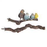 Pet Parrot Bird Standing Stick Grape Wood Pole Bird Cockatiel Parakeet Perches Bite Claw Grinding Toy Bird Cage Accessories