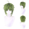 Men Synthetic Green Short Wavy Wig Cosplay Anime Costume Boy Fake Hair Cosplay Wig for Halloween Christmas Party+Hair Cap