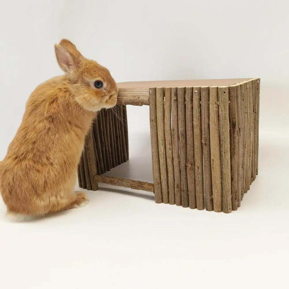 Small Animal Nest Shelter Rabbit House Teeth Grinding Safe Chinchilla Nest Hamster Hideout Habitat for Chipmunk