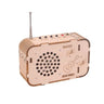 DIY Radio Model Science and Technology Invention Hand-made Self-made Assembly Materials Handmade Toys Physics