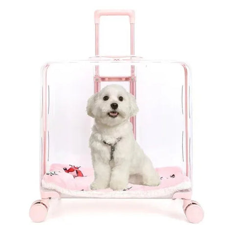 Stroller Kitten Cat Carriers Crate Backpack Transporter Cat Carriers Trolley Animal Trasportin De Gato Pets Products Dog