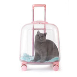 1PCS Clear pet backpack, cat carrier bag, portable capsule, pet carrier bag