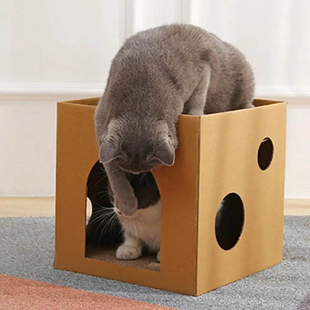 Cat Cardboard Box Wear-resistant Kitten Puppy Exercising Grinding Nail Scraper Mat Pet Accessories