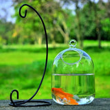 Mini Fish Tank Aquarium Accessories Goldfish Glass Fishbowl Fishing Hydroponics Terrarium Plant Flower Pot Pet Jellyfish Carp