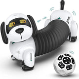 Intelligent Robot Dog 2.4G Child Wireless Remote Control Talking Smart Electronic Pet Dog Toys For Kids New Programmable Gifts