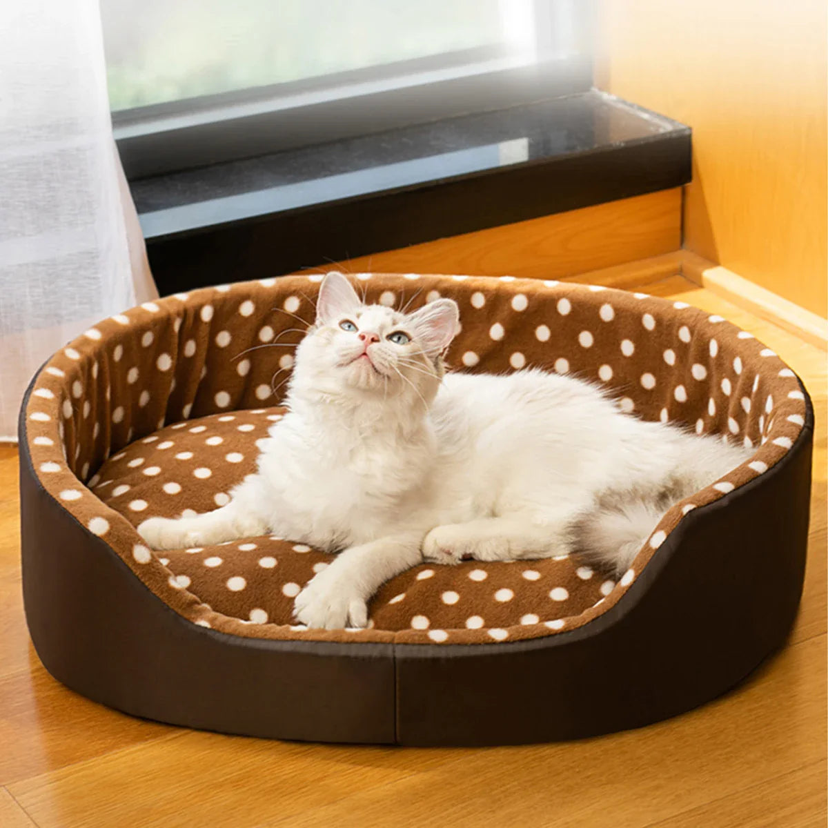 Cats Bed Dot Sponge Pad Dog Accessories Houses and Habitats Pet House Puppy Goods All Supplies Cushions Things Beds Basket Mat