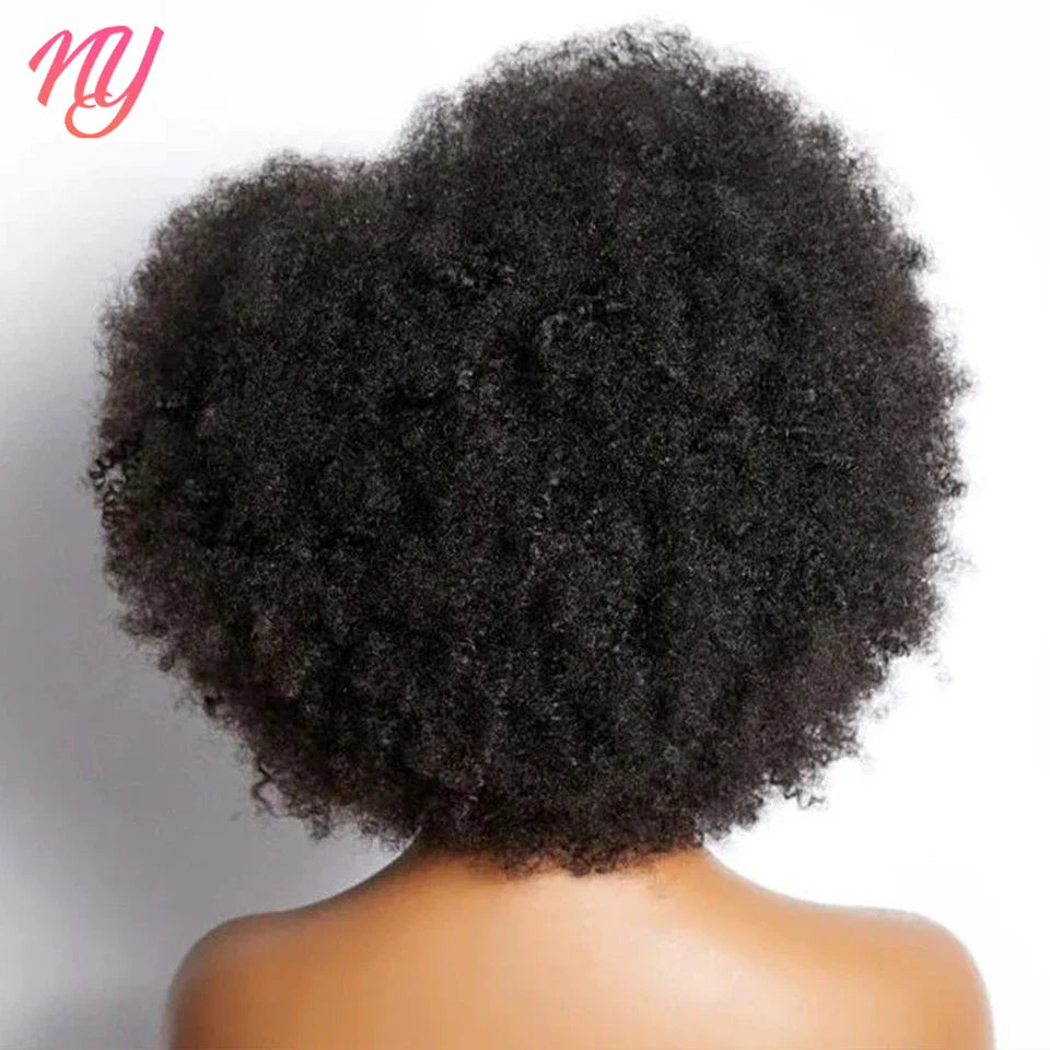 Afro Kinky Curly Lace Front Wig Brazilian Remy Human Hair HD Lace Natural Hairline 13X4X2 Glueless Afro Short Bob Human Hair Wig