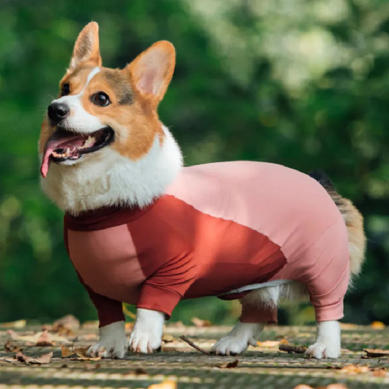 Welsh Corgi Dog Clothes Pajamas Jumpsuit Rompers Welsh Corgi Pembroke Clothing Costume Apparel Dropshipping Pet Outfit Garment