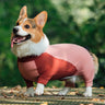 Welsh Corgi Dog Clothes Pajamas Jumpsuit Rompers Welsh Corgi Pembroke Clothing Costume Apparel Dropshipping Pet Outfit Garment