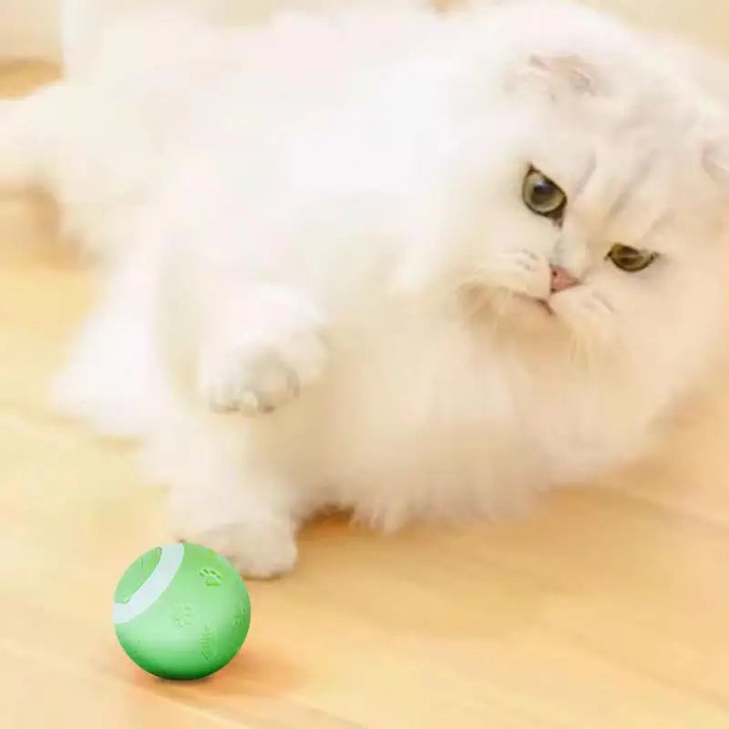 Electric Cat Ball Toy Training Self Moving toy Automatic Rolling Smart Kitten Toy Interactive Playing Toy Indoor Pet Supplies