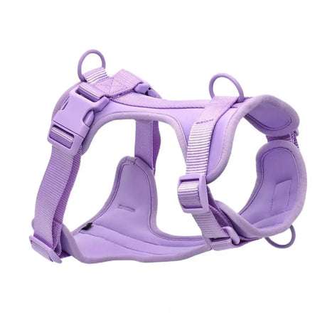 Chest Harness Leash Micro Elastic Easy to Clean Breathable Tensile Comfortable Anti-bite Space Cotton Dog Training Collar Leash