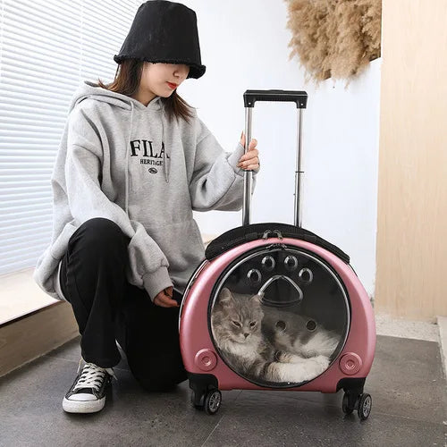 Pet Luggage Backpack Outdoor Large Capacity Breathable Portable Aviation Suitcase Folding Cats Cat Carrier