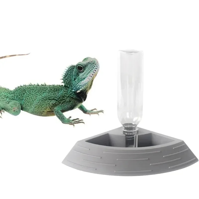 Water For 1 Automatic Dispenser Waterer Lizard Small Tortoise Feeder Terrarium Bowl Animal Dish In Reptile Corner Food 2