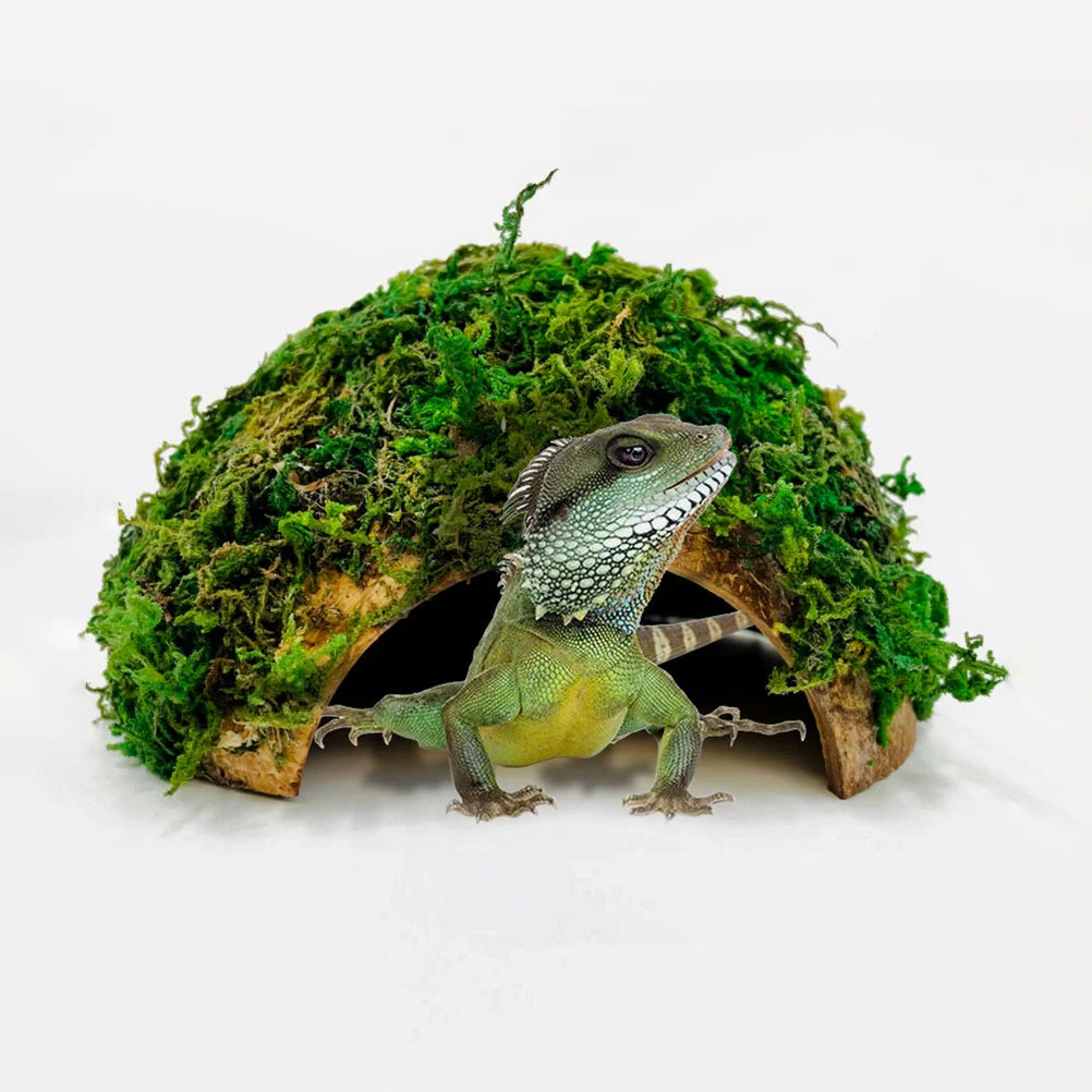 Reptile Hideout House Hamster Turtle Habitat Shelter Terrarium Ornament Coconut Shell Gecko Hides and Caves Lizard Hiding New