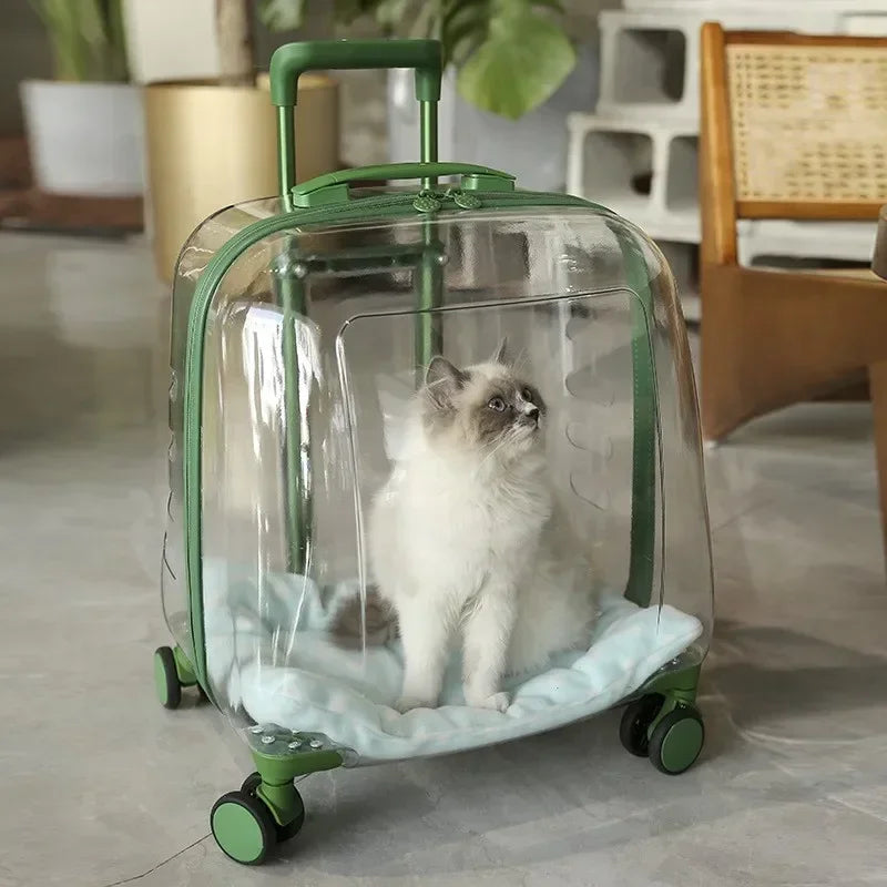 1PCS Clear pet backpack, cat carrier bag, portable capsule, pet carrier bag