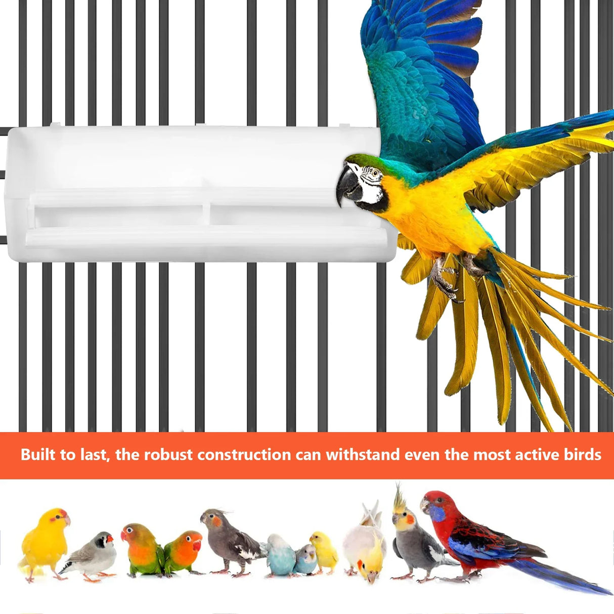 Cage Food Box Bird Spoon Water Dispenser Birds Feeding Tool Bowls For Parrot Feeder Accessories Pet Indoor Feeders