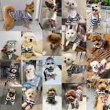 Summer Dog Polo Shirt Cute Puppy Clothes Simple Striped Cat Shirt Fashion Pet Kitten Vest Soft Dog Apparel Chihuahua Dog Clothes