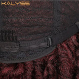 Kalyss 24 Inches Red Wig Synthetic Braids Wigs full wig Middle full wig Parted Loc Braided Wigs with Curly Ends for women