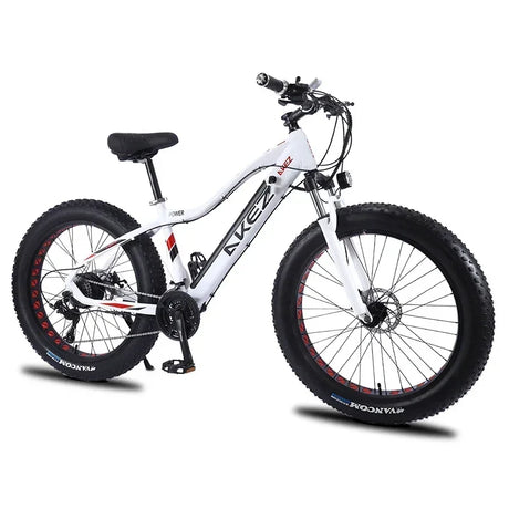 US EU UK 4.0 Fat Tire 26 Inch Electric Snow Bicycle Mountain e bike 750W Brushless Motor Cruiser Bikefor Men Electric bicycle